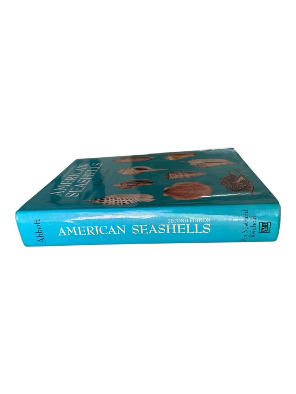 American Seashells Second Edition by R. Tucker Abbott Hardcover Reference - Picture 2 of 13
